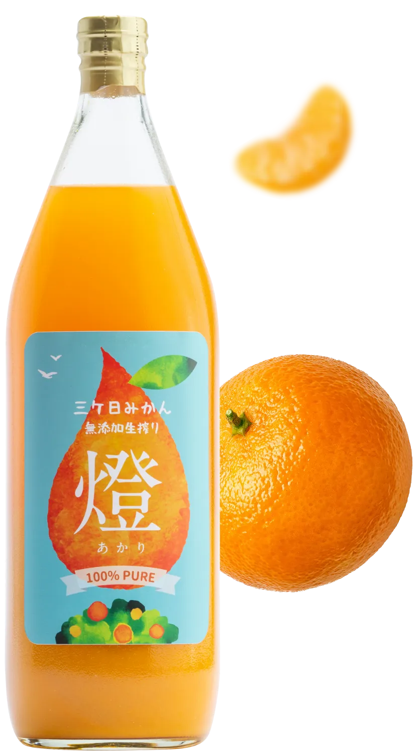 三ヶ日みかんストレートジュース