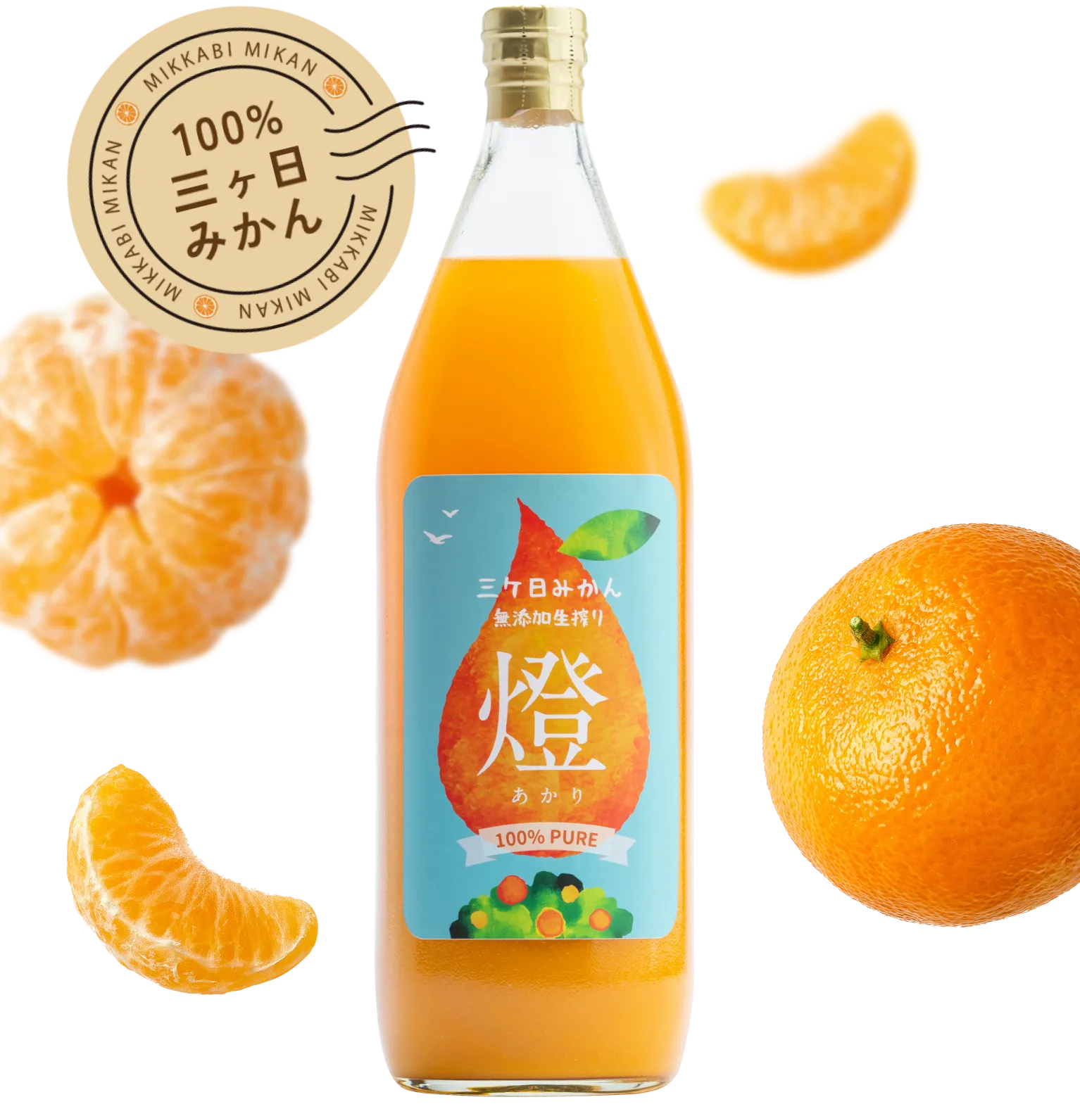三ヶ日みかんジュース