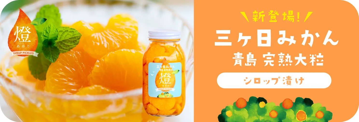 三ヶ日みかんシロップ漬け