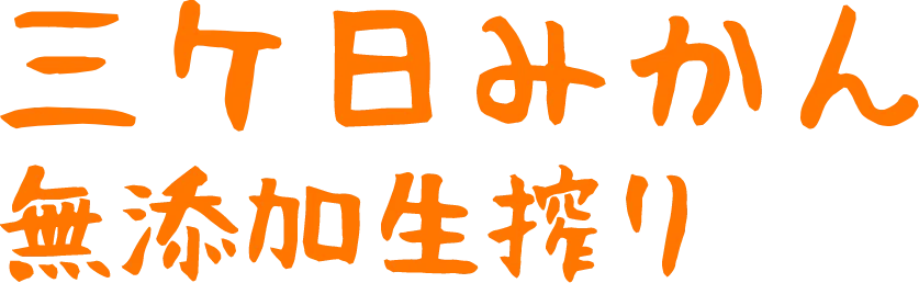 三ヶ日みかんまる搾りジュース