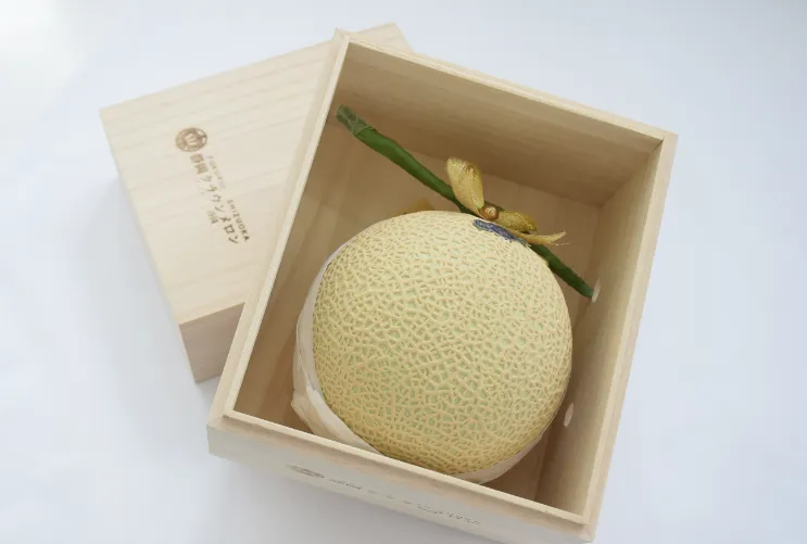 静岡クラウンメロン