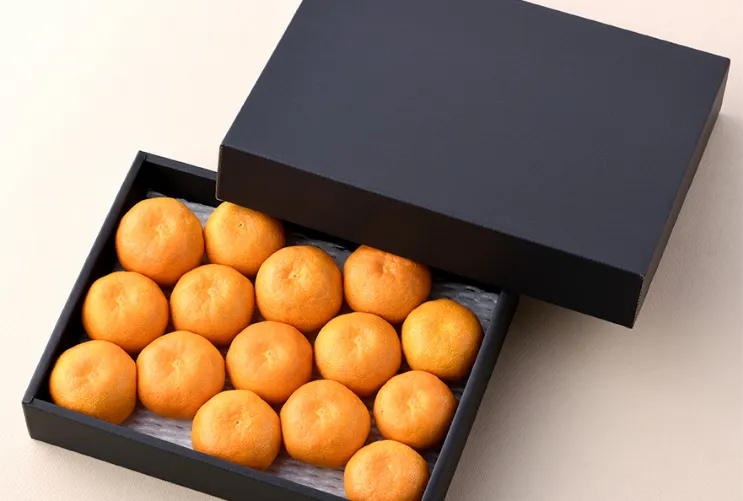 三ヶ日みかん 早生 特選