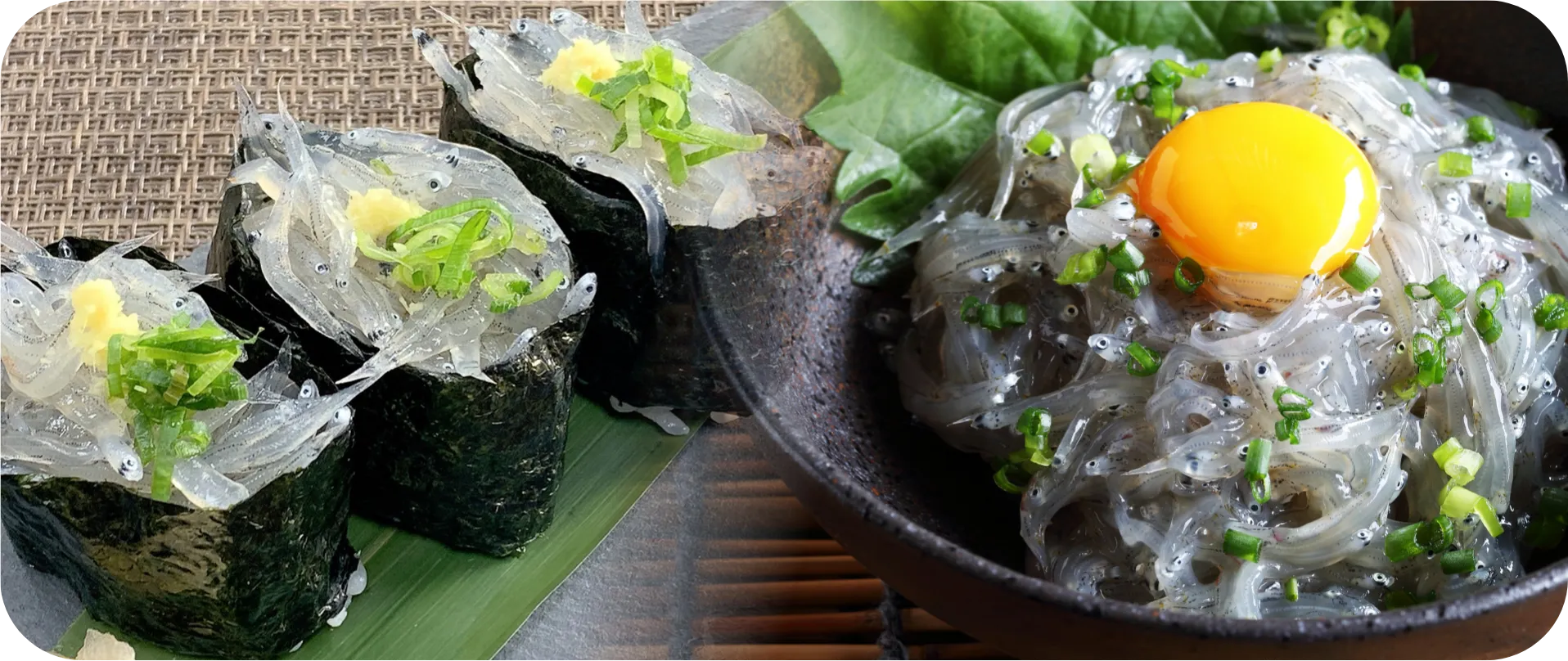 遠州灘産 生しらす