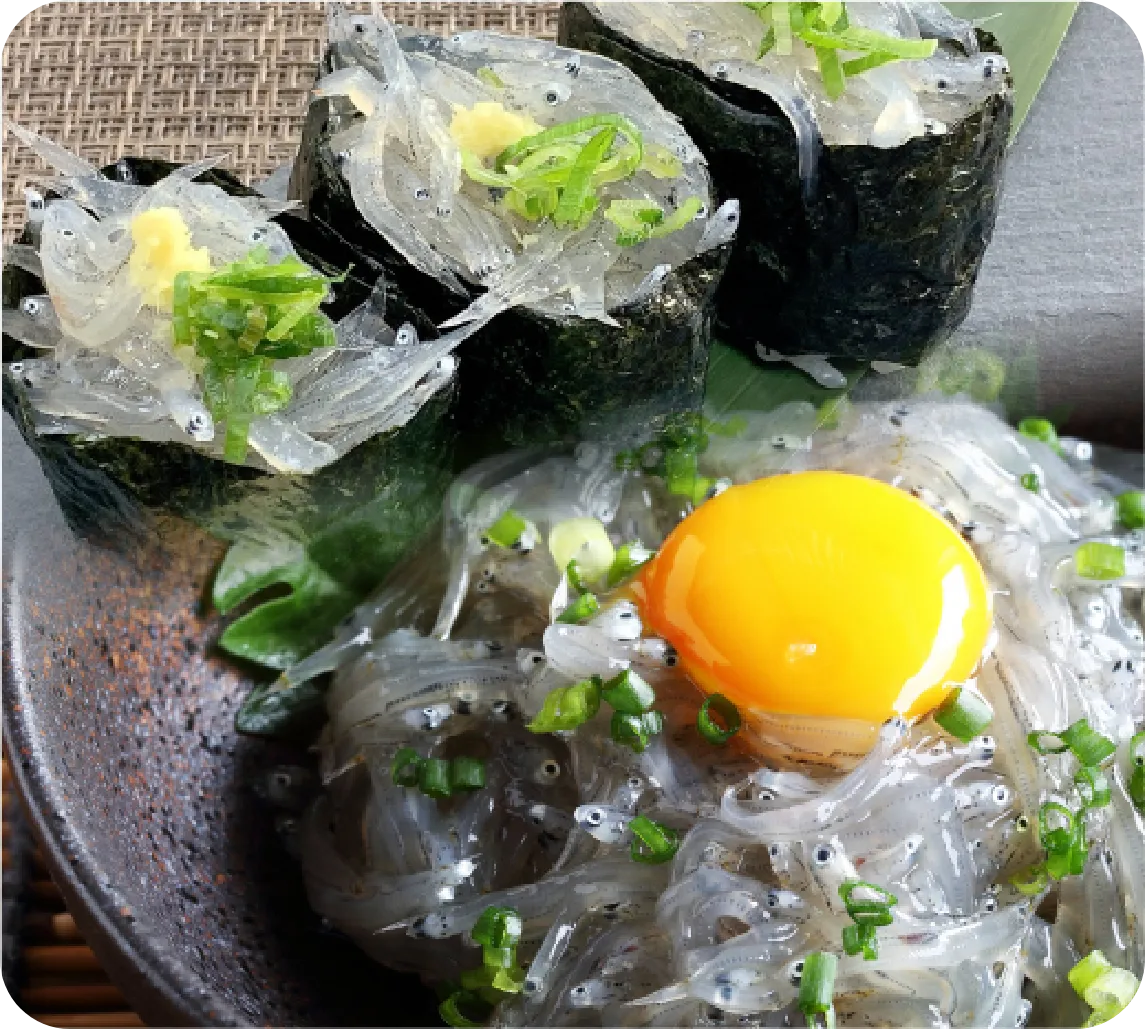 遠州灘産 生しらす