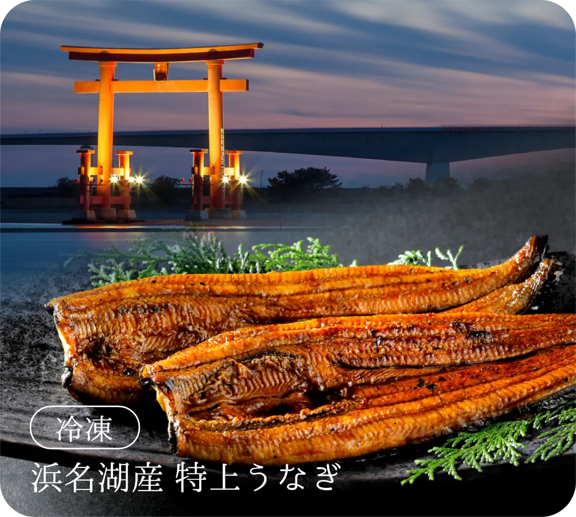 浜名湖特上うなぎ