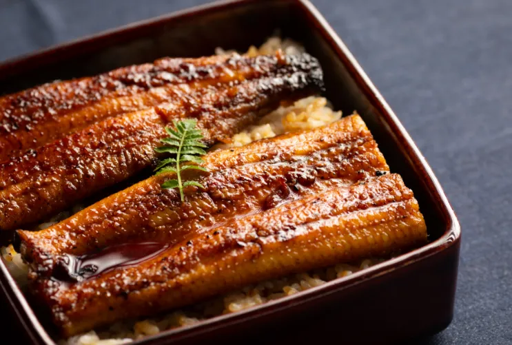浜名湖産朝じめうなぎ溶岩焼き