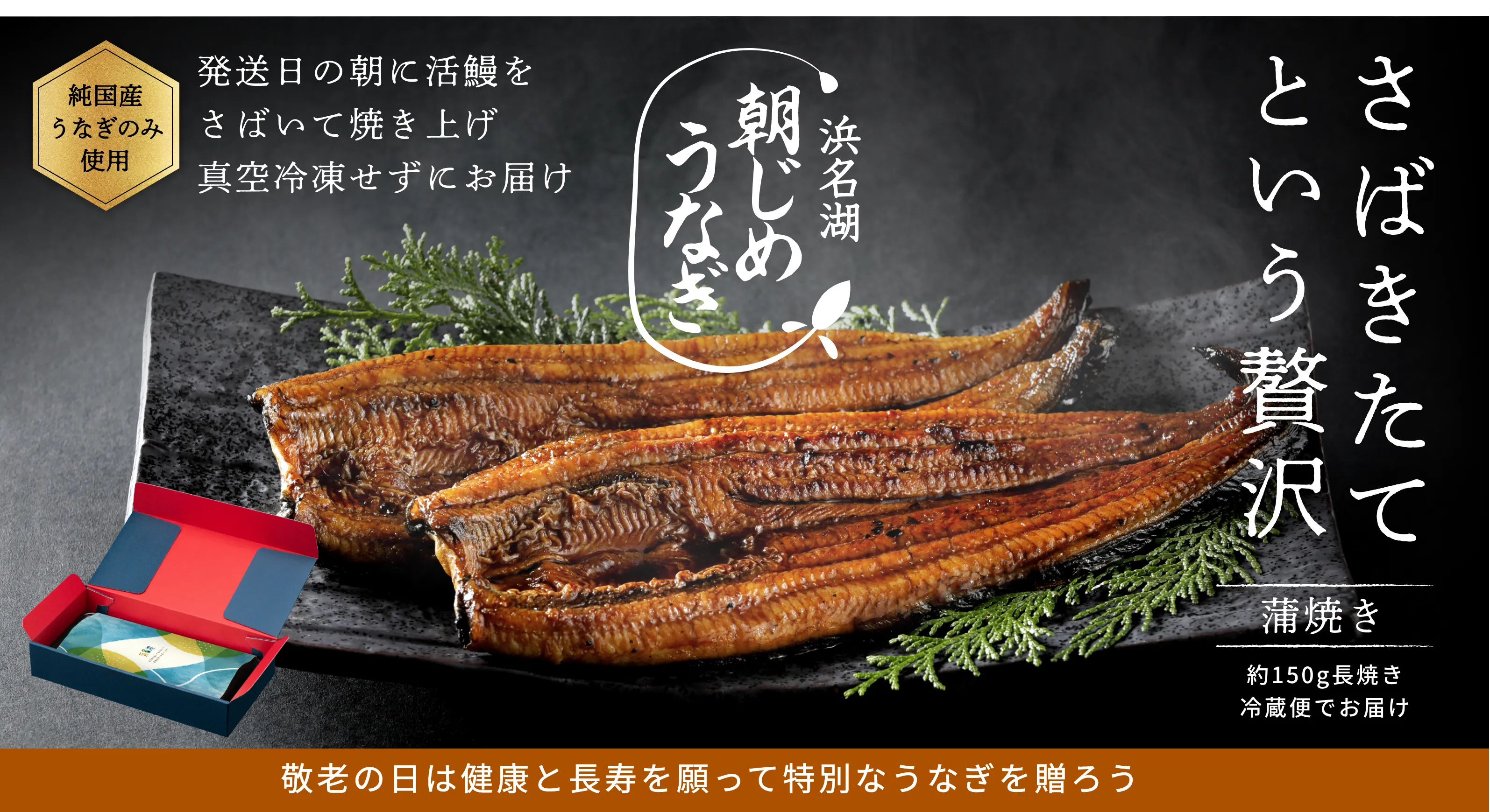 秋ギフトランキング1位 朝じめうなぎ