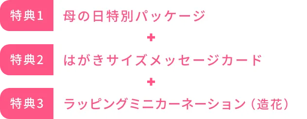特別ギフトパッケージ