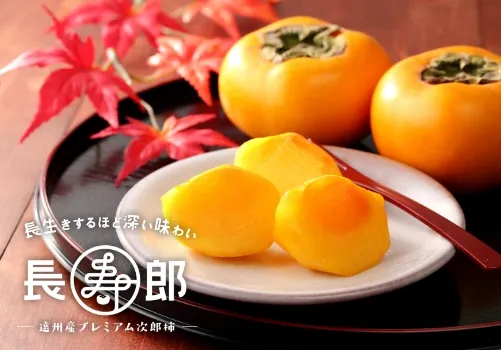 冬ギフトランキング4位 長寿郎 次郎柿【秀品 2L】12玉