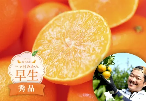 山口さんの三ヶ日みかん 早生【秀品】4kg