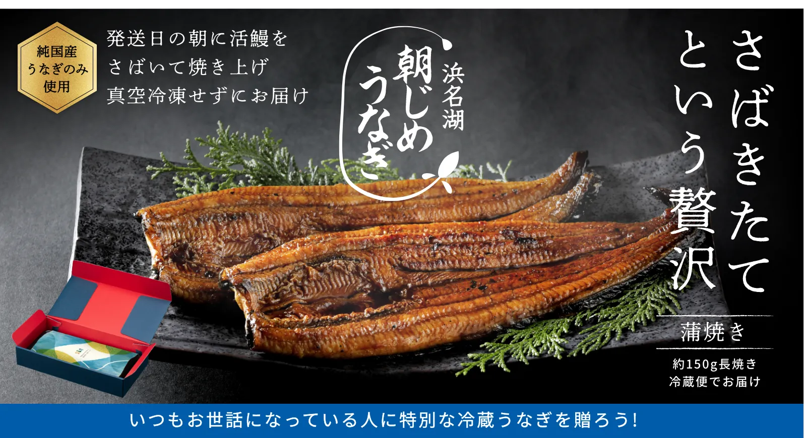 お中元ギフトランキング1位 朝じめうなぎ