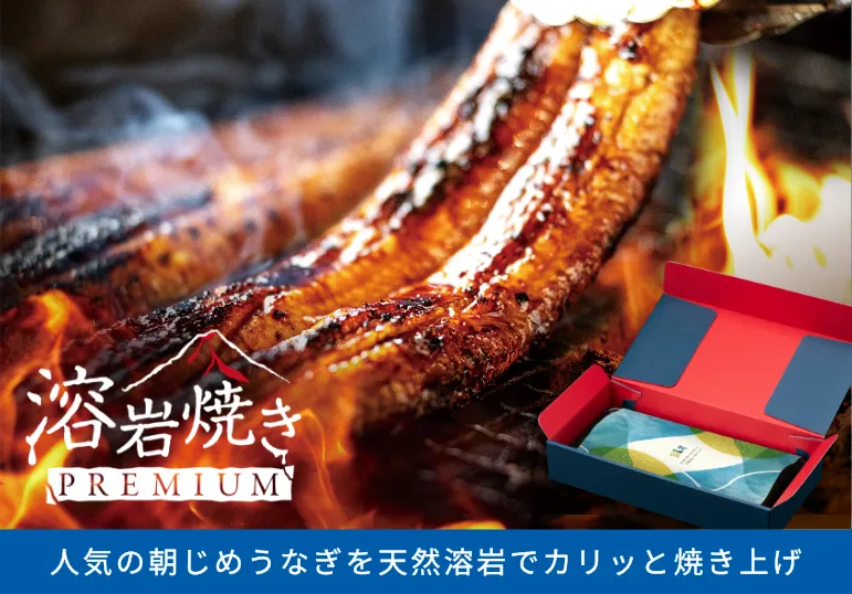 お中元ギフトランキング2位 浜名湖産朝じめうなぎ溶岩焼き蒲焼き2尾