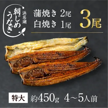 朝じめうなぎコンビセット（4～5人前）