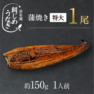 朝じめうなぎ1尾