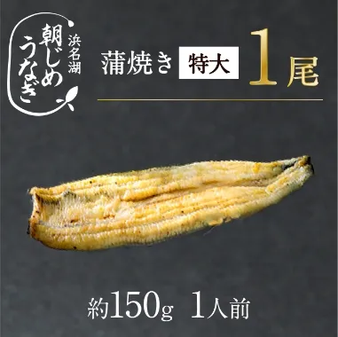 朝じめうなぎ1尾