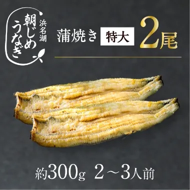 朝じめうなぎ1尾