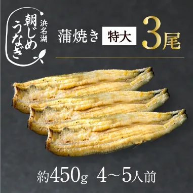 朝じめうなぎ1尾