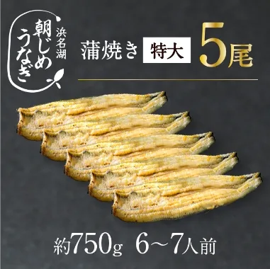 朝じめうなぎ1尾