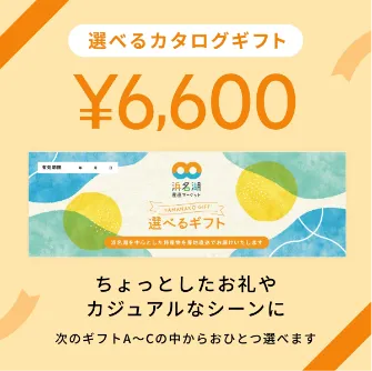 選べるギフト 6,600円
