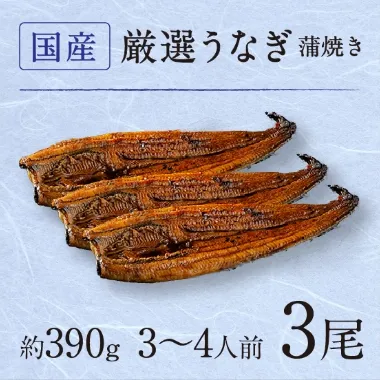 国産厳選うなぎ3尾