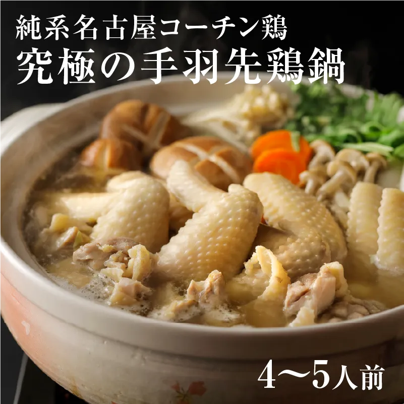 純系名古屋コーチン手羽先鶏鍋【4～5人前】