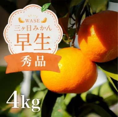 三ケ日みかん「早生（わせ）」4kg