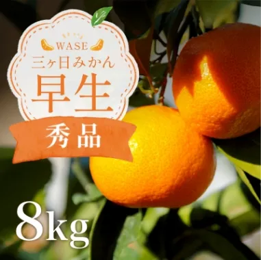 三ケ日みかん「早生（わせ）」8kg