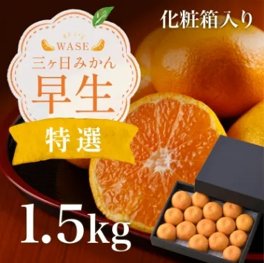 三ケ日みかん「早生（わせ）」