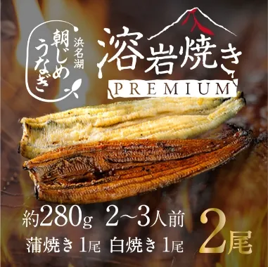 朝じめうなぎ 溶岩焼きコンビセット（2～3人前）