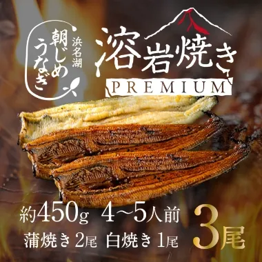 朝じめうなぎ 溶岩焼きコンビセット（4～5人前）