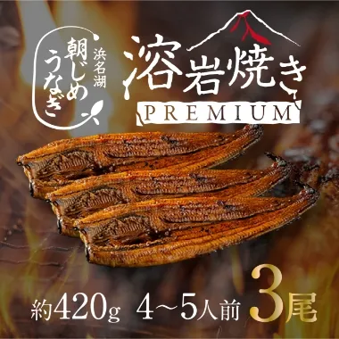 朝じめうなぎ 溶岩焼き3尾