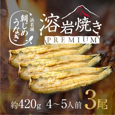 朝じめうなぎ 溶岩焼き3尾