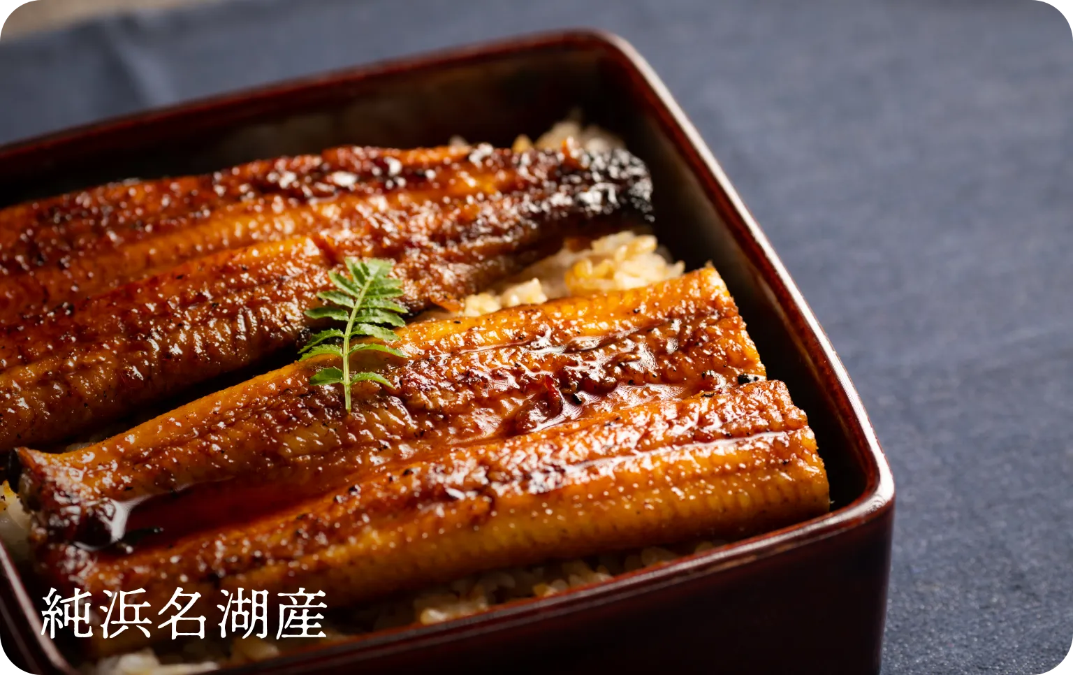 朝じめうなぎ
