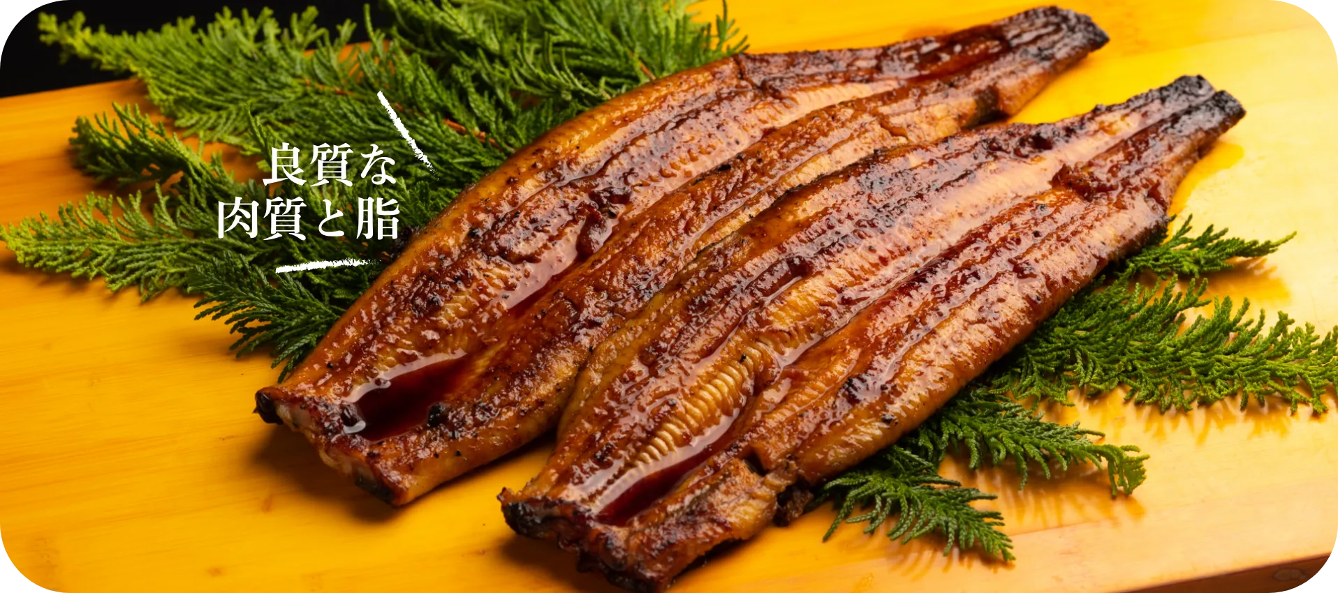 美味しさのバランスにこだわったサイズ感