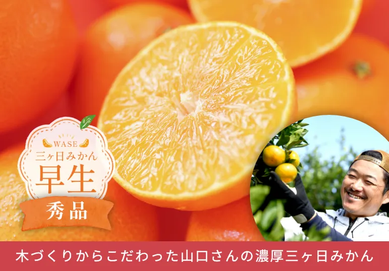 冬ギフトランキング3位 山口さんの三ヶ日みかん 早生【秀品】4kg
