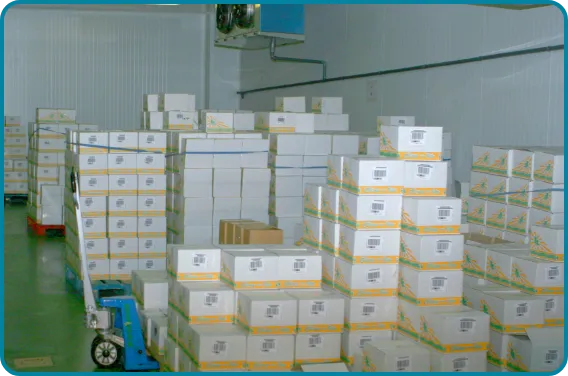 オーラパック梱包