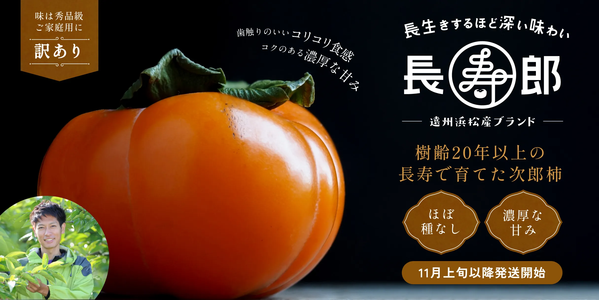 長寿郎【訳あり品】