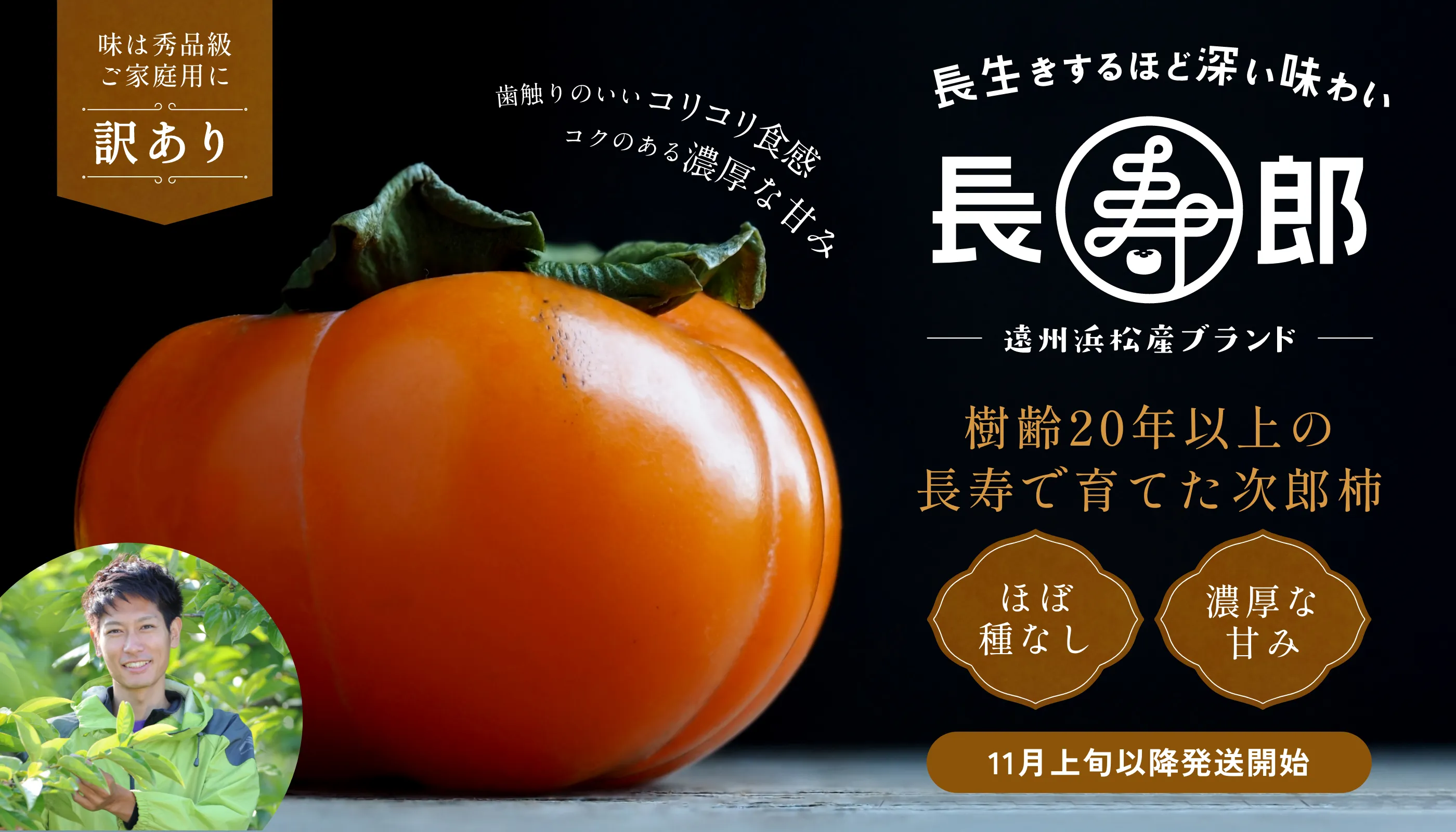 長寿郎【訳あり品】