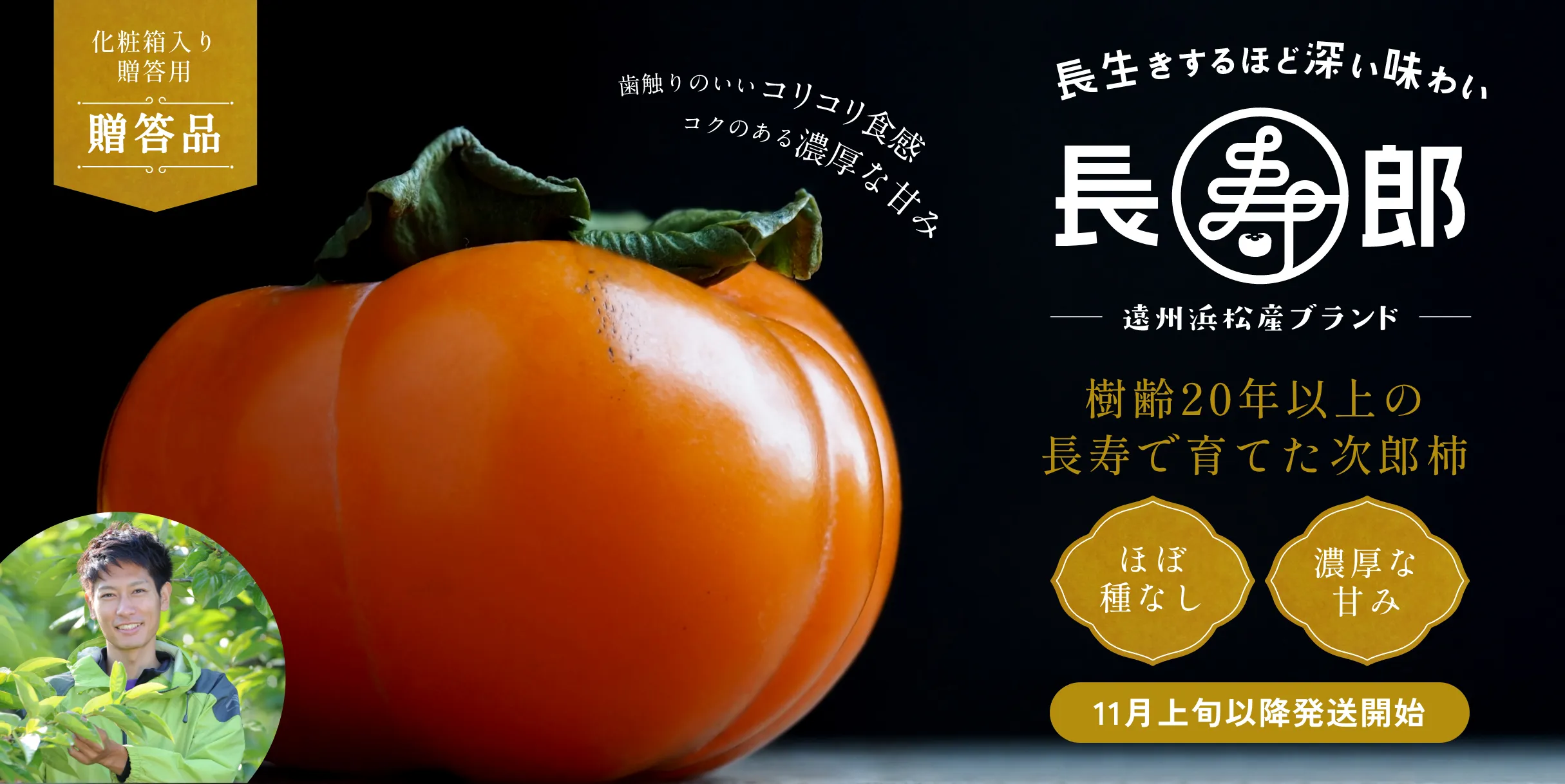 長寿郎【贈答用】