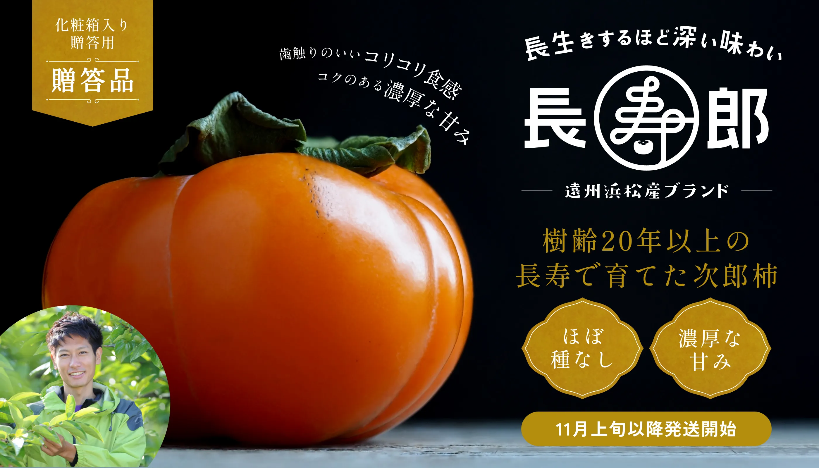 長寿郎【贈答用】