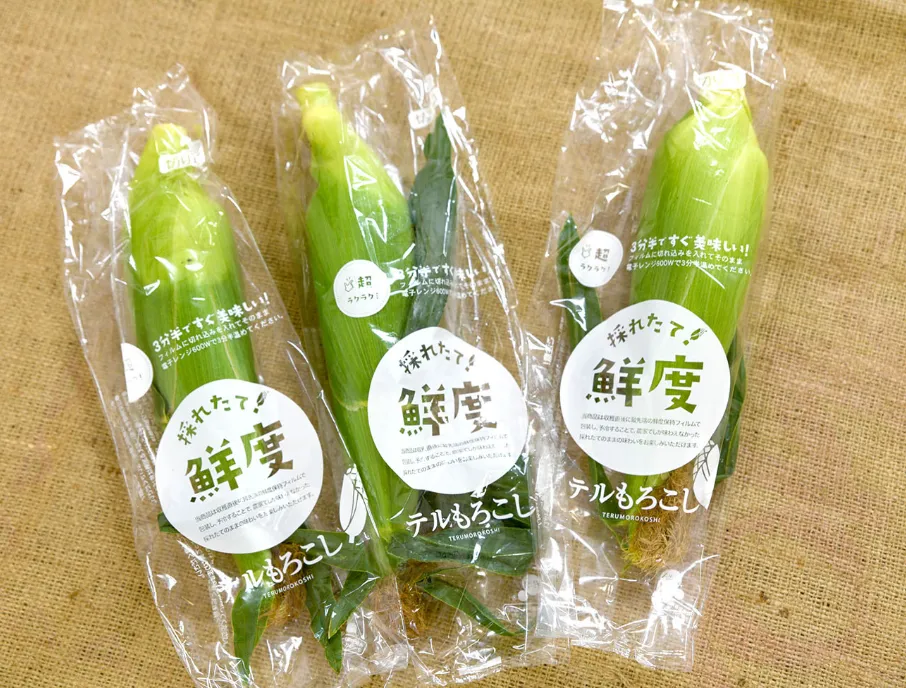 甘々娘(かんかんむすめ)甘太郎(かんたろう)