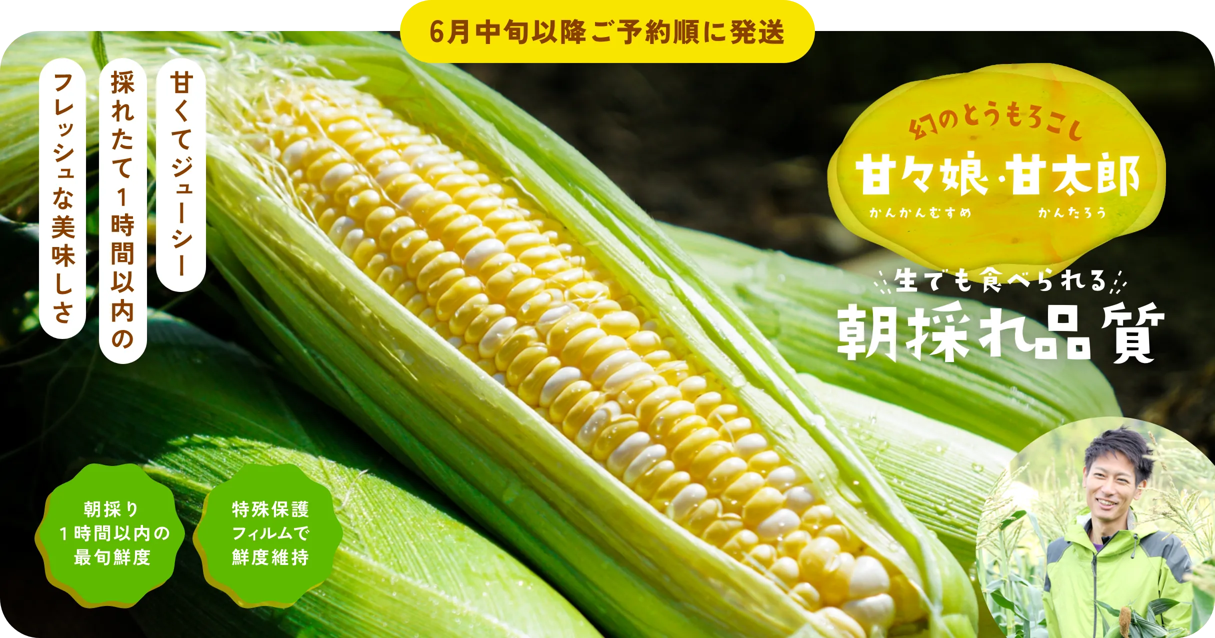 甘々娘・甘太郎