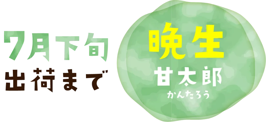 甘太郎
