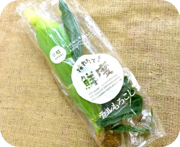 個包装
