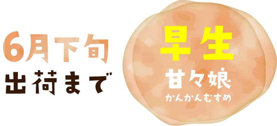 甘々娘