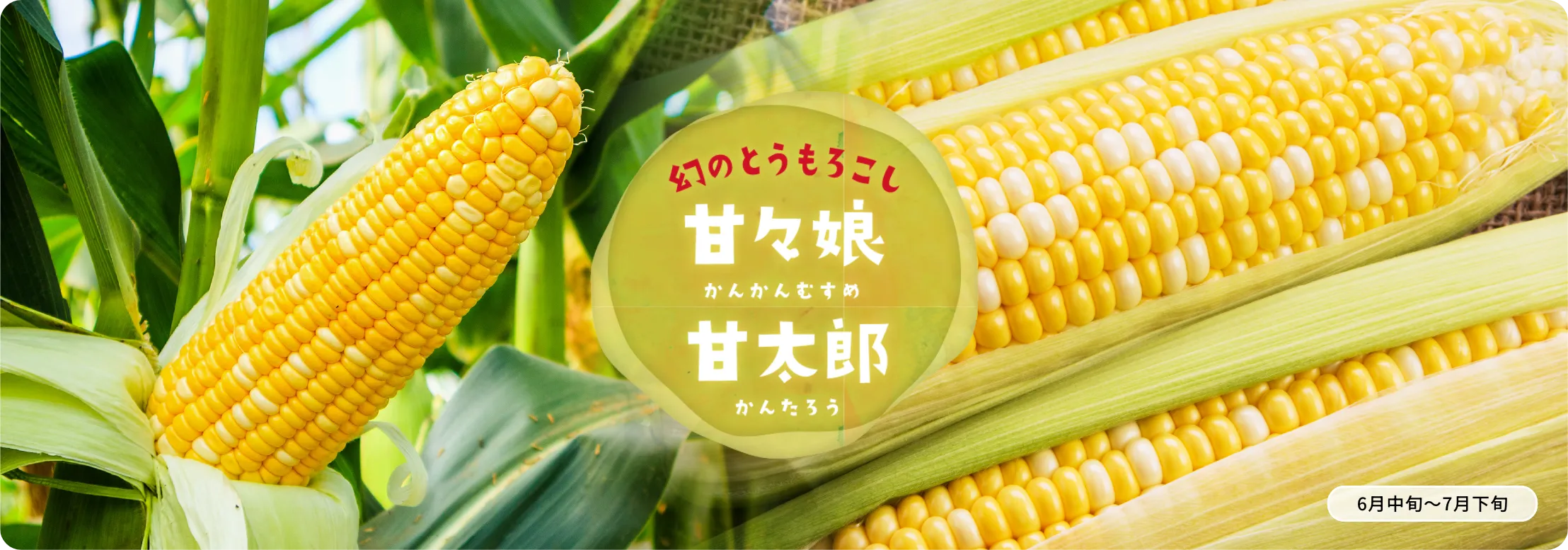 甘々娘・甘太郎