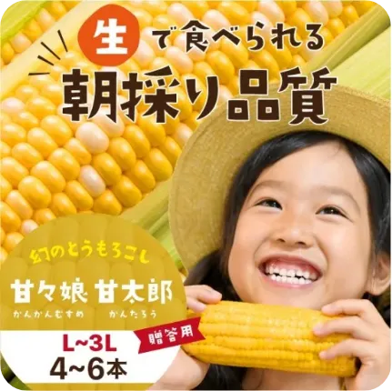 静岡県産とうもろこし 甘々娘甘太郎