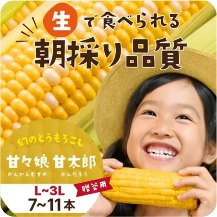 静岡県産とうもろこし 甘々娘甘太郎