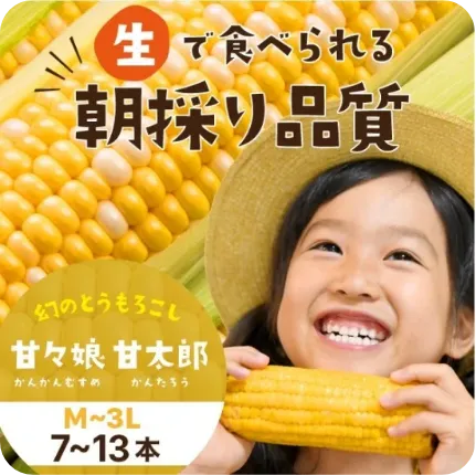 静岡県産とうもろこし 甘々娘甘太郎
