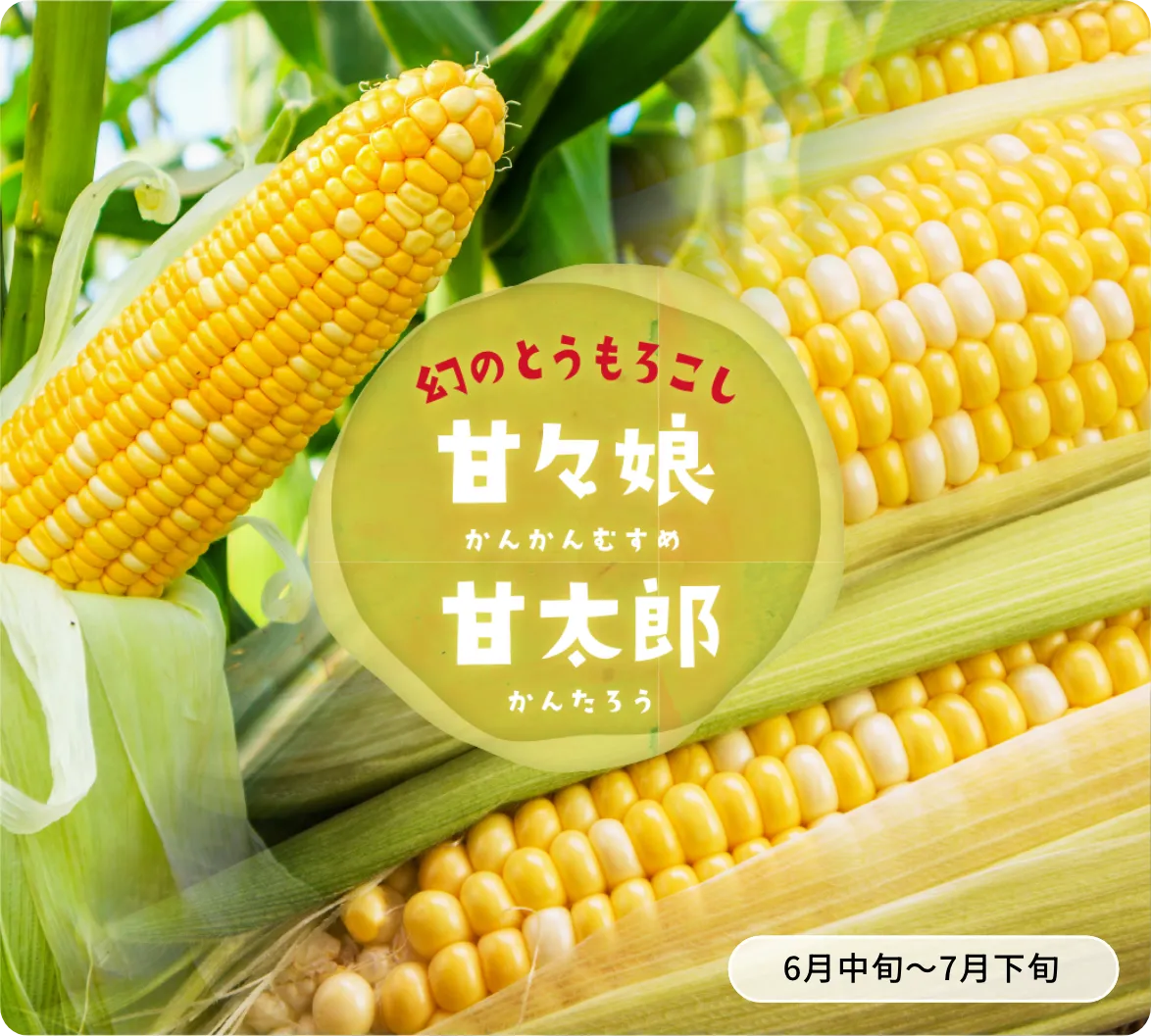 甘々娘・甘太郎